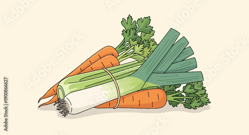 A bunch of carrots and leeks are tied together with a rubber band