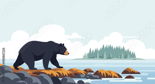 A black bear walks along a rocky shore beside calm water