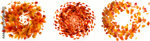 Autumn's Dance: A Symphony of Fall Leaves