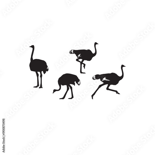 Black and White Ostrich Silhouette Vector Set
Ostrich Silhouette Collection Minimal Vector Illustration
Ostrich Bird Silhouette Set Black White Vector