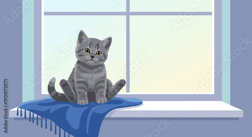 A cute grey kitten sits on a blue blanket by a window