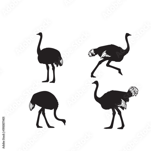Black and White Ostrich Silhouette Vector Set
Ostrich Silhouette Collection Minimal Vector Illustration
Ostrich Bird Silhouette Set Black White Vector