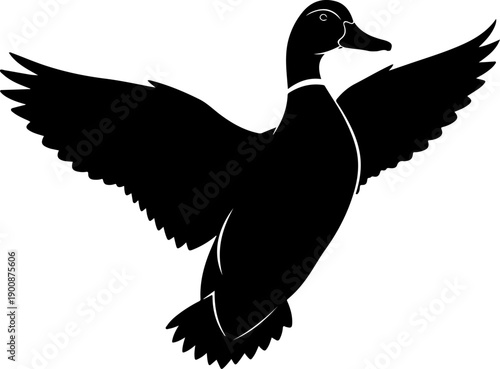 Graceful duck landing silhouette vector illustration