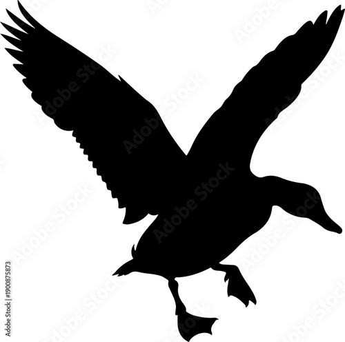Graceful duck landing silhouette vector illustration