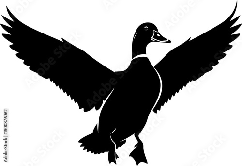 Graceful duck landing silhouette vector illustration