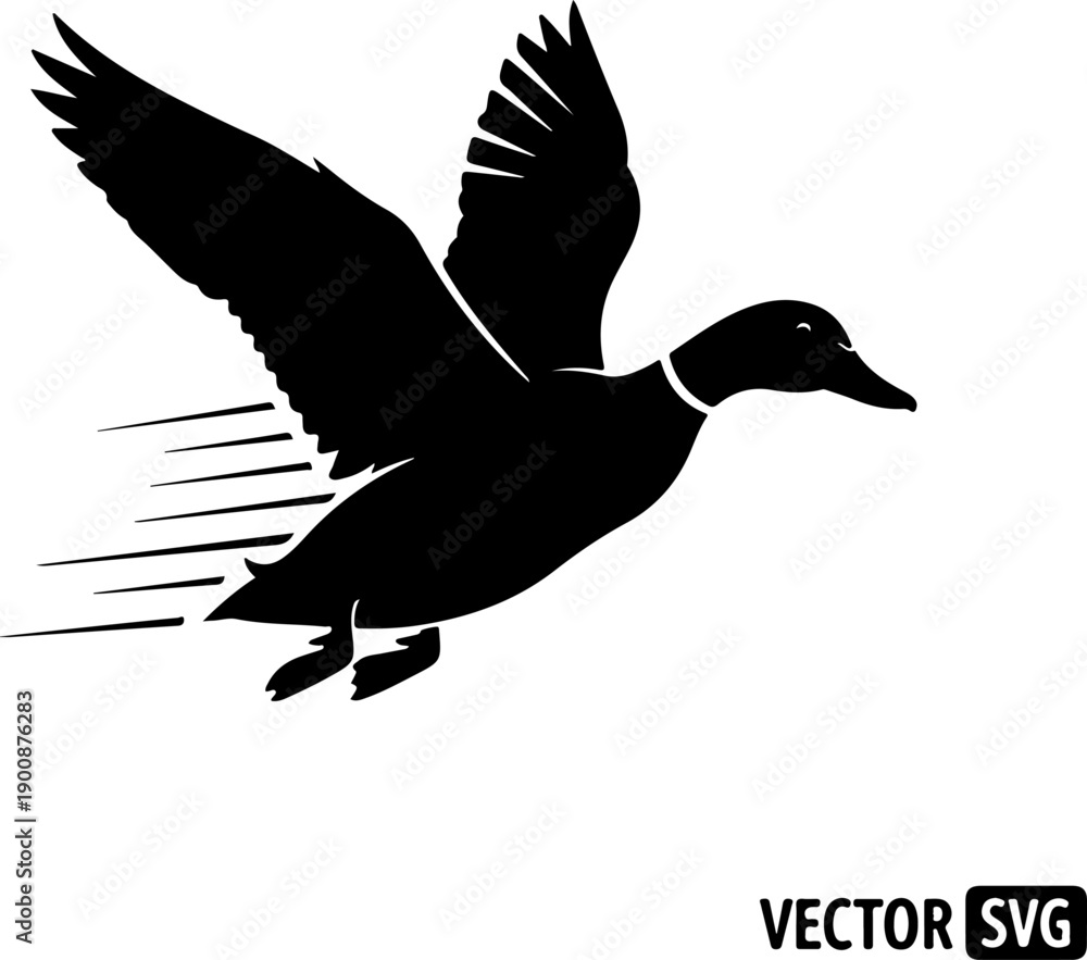 Fototapeta premium Graceful duck landing silhouette vector illustration