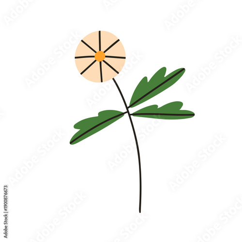 Flower blossom. Delicate wildflower bloom. Field floral plant stem with leaf. Botanical decoration. Abstract spring and summer nature decor. Flat vector illustration isolated on white background