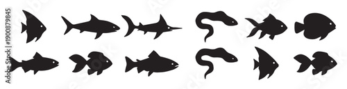 diverse set of black fish silhouettes graphic icon