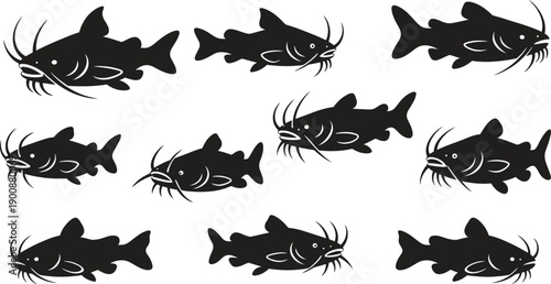 Silhouette of multiple catfish swimming in different directions