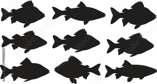 Silhouette of nine black fish on a white background
