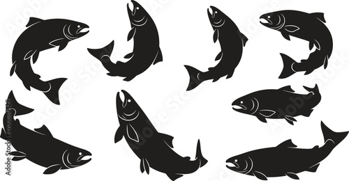 Silhouette of multiple fish swimming together in different directions