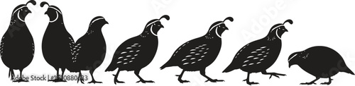 Silhouette of a group of quails walking in a line