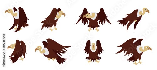 condor cartoon vectors 