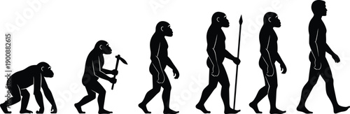Human Evolution Timeline from Primate to Modern Man: Silhouettes Depicting Tool Use, Upright Posture, and Species Development