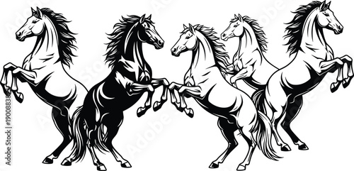 Rearing horses silhouette illustration set with dynamic wild stallion poses in black and white style isolated on white background for tattoo, logo and decorative design