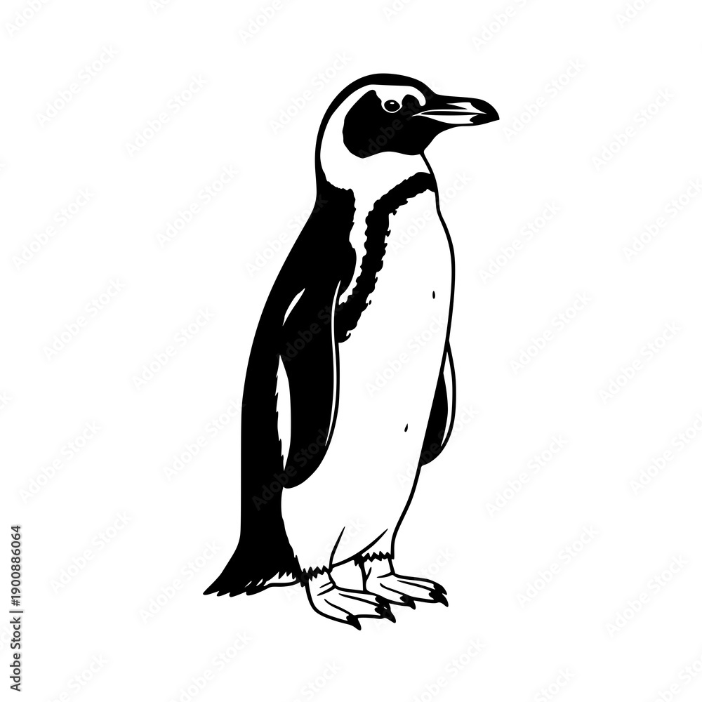 Obraz premium Penguin outline vector line art illustration