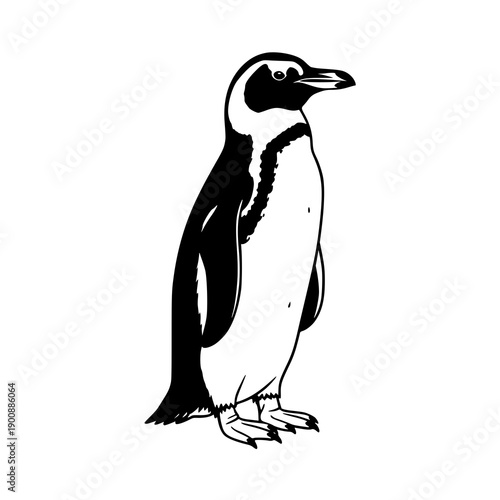 Penguin outline vector line art illustration