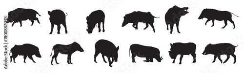 boar silhouette set