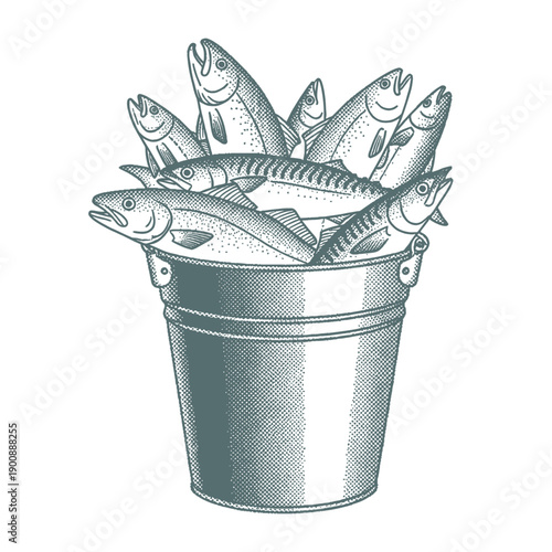 full bucket of fresh fish, fishing illustration in retro halftone style