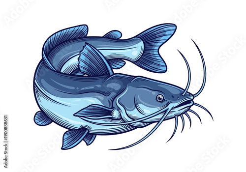 Stylized Catfish Vector Illustration in Engraving Art Style