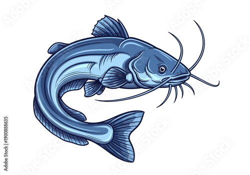 Stylized Catfish Vector Illustration in Engraving Art Style