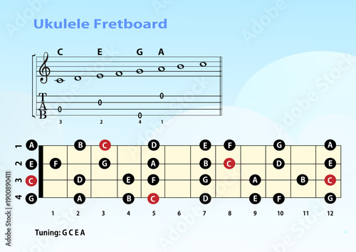 Vector illustration of ukulele fretboard notes with musical staff and tablature
