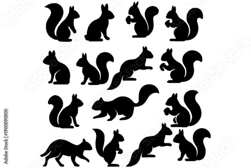 black and white Squirrels,
Squirrel Silhouette Collection – Black Vector Icons