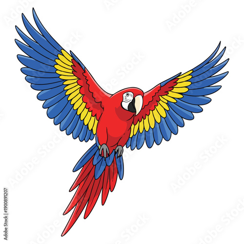 vector illustration of a colorful parrot