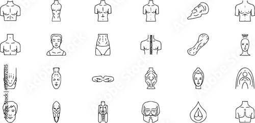 Human Body Anatomy Icons - Medical Health  Fitness Symbols