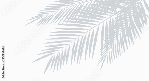 Shadows of palm leaves cast on a white background, creating a natural and minimalist overlay effect.