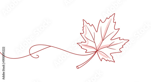 Elegant minimalist line art drawing of a single maple leaf with a swirling stem on a clean white background, perfect for decorative purposes.