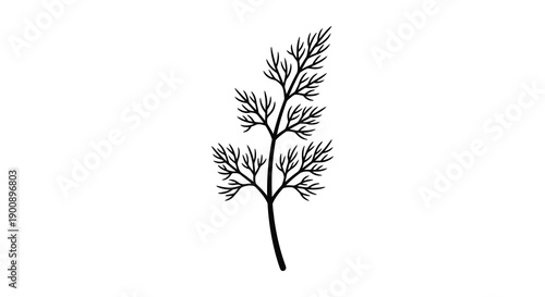 A delicate black and white illustration depicts a single sprig of dill showcasing its feathery foliage and slender stem
