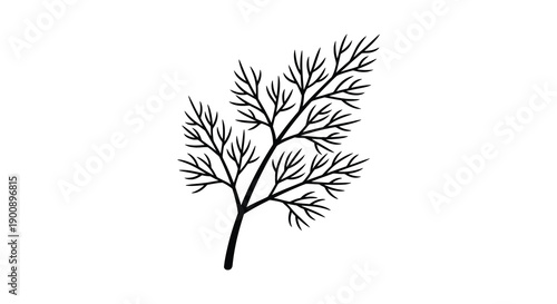 A simple black and white illustration depicts a delicate sprig of dill showcasing its feathery segmented leaves and slender stem