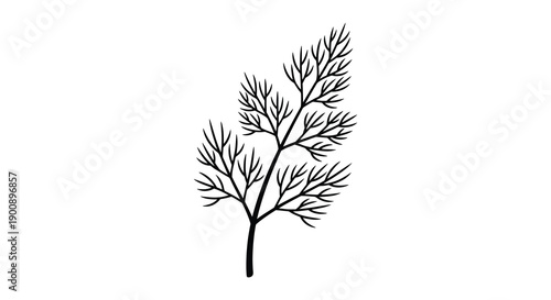 A minimalist black and white illustration depicts a single stem of dill with delicate feathery foliage high quality