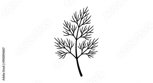 A simple black and white line drawing depicts a delicate sprig of dill weed showcasing its feathery structure