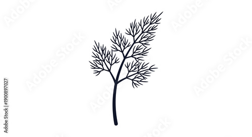 A minimalist illustration depicts a single sprig of dill showcasing its delicate feathery foliage and slender stem
