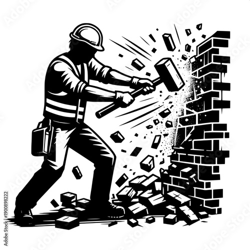 Wall Removal Demolition