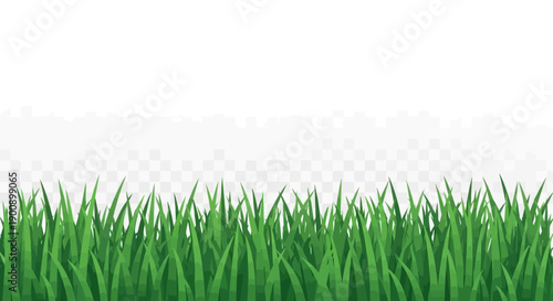 A vibrant, detailed illustration of lush green grass blades against a transparent background, perfect for nature-themed designs.