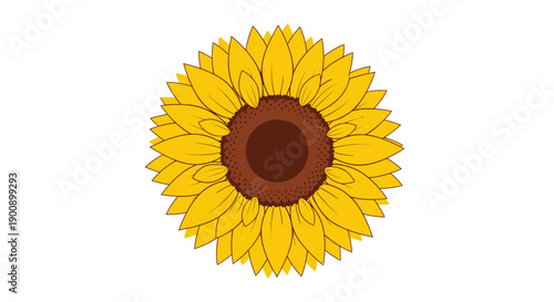 A vibrant, detailed illustration of a single sunflower with bright yellow petals and a dark brown center, set against a clean white background.