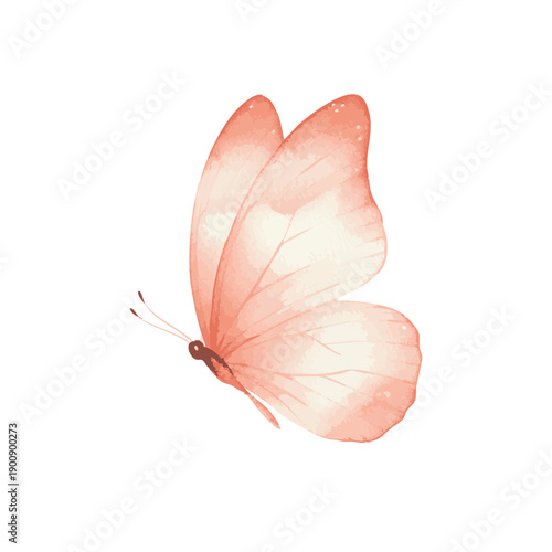 Watercolor Butterfly Illustration.