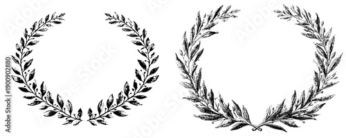 Elegant Artistry: Hand Drawn Laurel Frame Branches - A Square Composition of Natural Beauty.