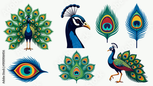 Beautiful Indian Peacock Vector Set Featuring Head Profile, Walking Pose, and Decorative Feathers with Vibrant Eye Spots for Exotic Bird Graphic Design and Branding