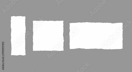 Three torn white paper pieces of different sizes on a gray background.