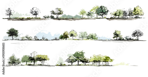 Illustration d'une collection d'arbres et de végétation dans un style esquissé et transparent, parfait pour des conceptions graphiques.