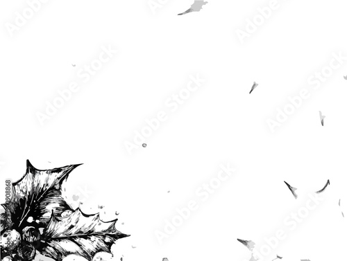 Grisaille d'une branche de houx avec des baies rouges et des feuilles vertes sur fond blanc, style dessin