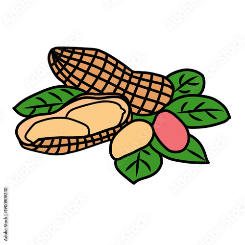 A stylized illustration of peanuts with their shells and leaves.