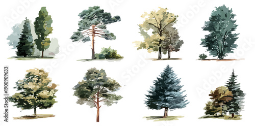 Collection d'illustrations d'arbres diversifiés et stylisés, peints à l'aquarelle, sur fond transparent.