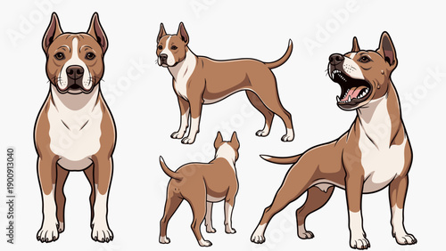 American Staffordshire Terrier dog vector set illustration in various poses including standing barking and looking back isolated on white