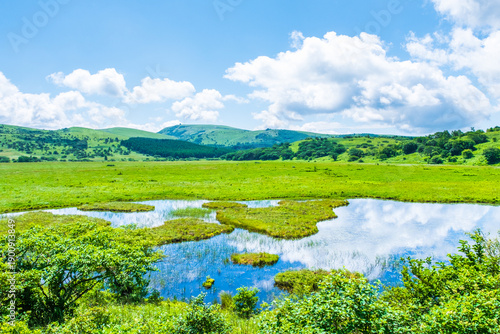 八島ヶ原湿原　夏