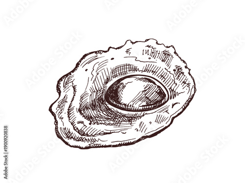 Hand drawn vintage sketch of fried egg with whole yolk in monochrome engraving style, isolated food illustration